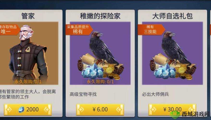 是否需购买《冰原守卫者》中的管家功能？