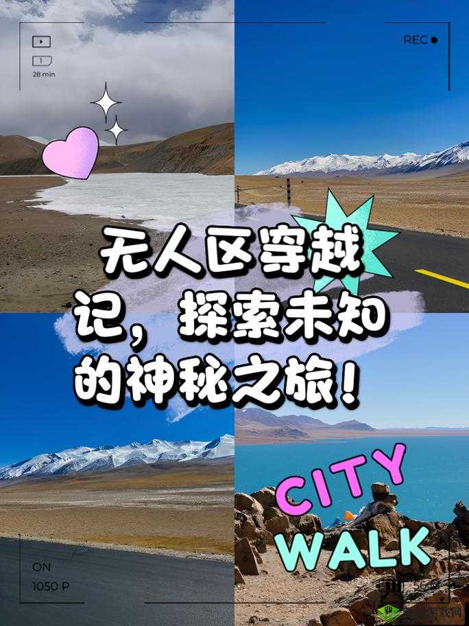 无人区一码二码三码四码多人收藏：探索未知的冒险之旅