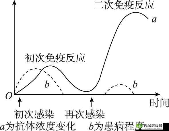 b 站视频观看人数突然猛增的原因分析