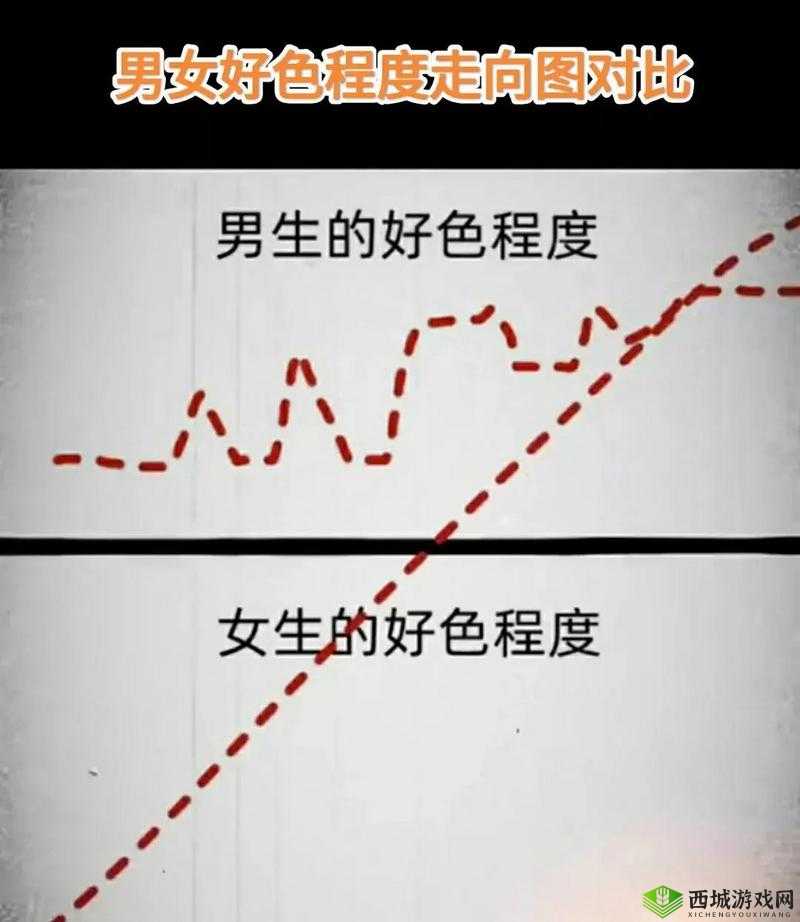 探讨女性偏好：对于不同类型事物的喜好程度及其影响因素分析