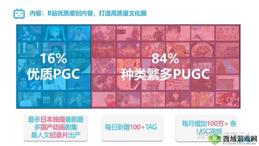B站哔哩哔哩：精彩视频汇聚地等你来探索