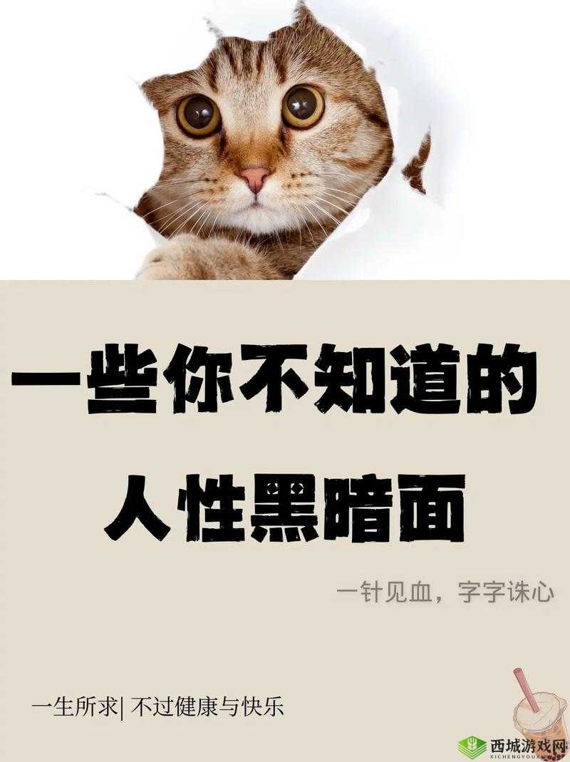 17cc 网黑料爆料一区二区三区：揭示网络世界的黑暗面