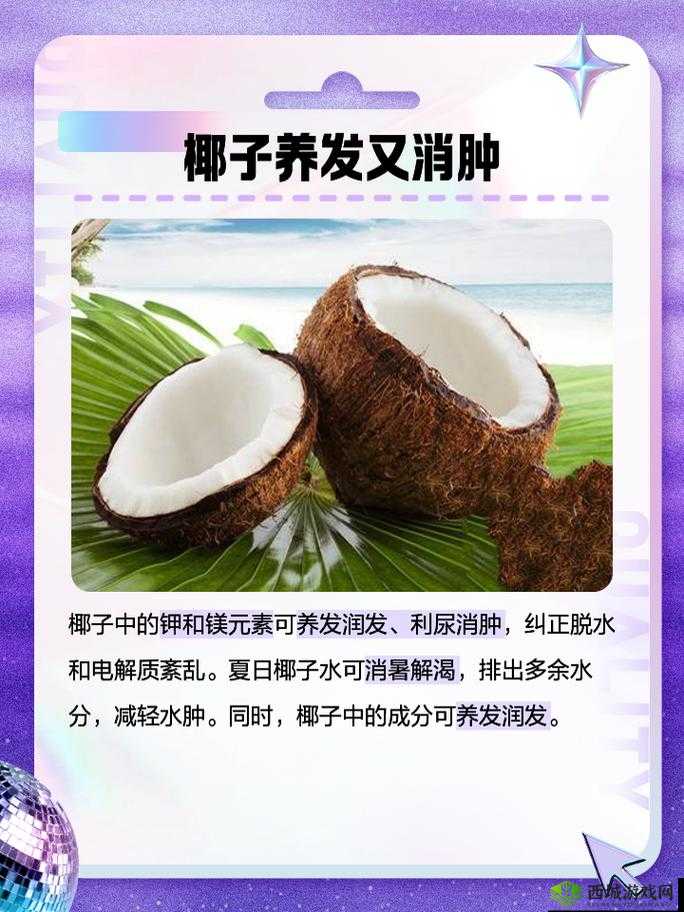 悠长假期里椰子究竟如何获取？全面解析获取方式！