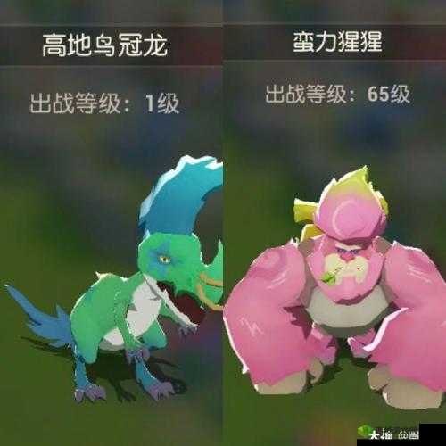海岛纪元宠物图鉴全揭秘，如何捕捉培养，掌握资源管理艺术的疑问解答？